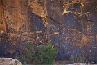 Rock Art Ranch - Petroglyphs