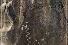Springerville Petroglyphs