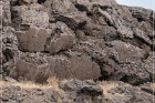 Winnemucca Lake Petroglyphs
