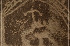Cedar Mountain Petroglyph Sites