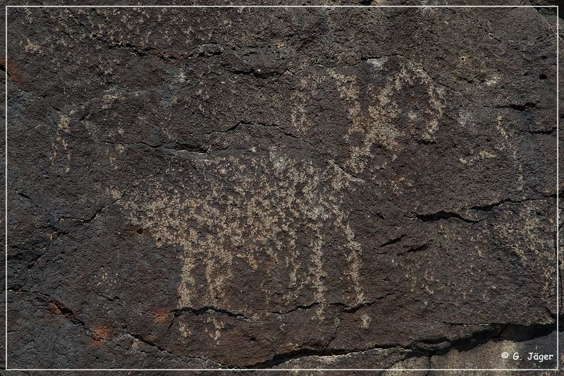 inscription_canyon_petroglyphs_59.jpg