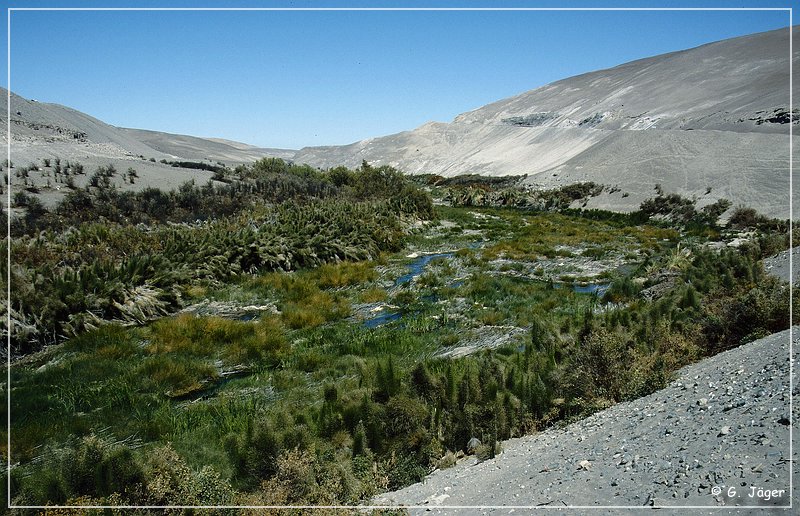 chile_geoglyph_07.jpg