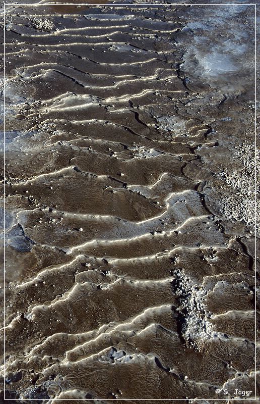 el_tatio_13.jpg