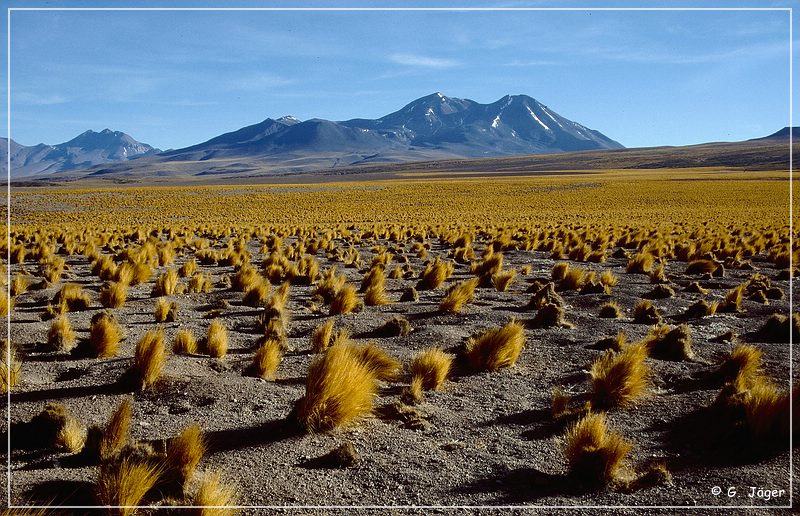 el_tatio_29.jpg