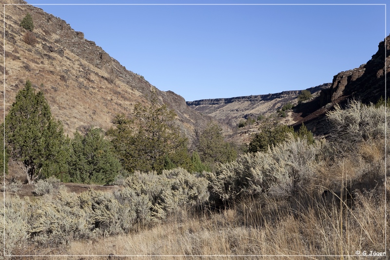 jarbidge_canyon_473.jpg