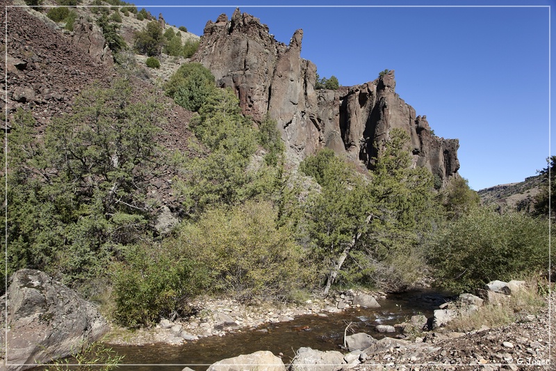 jarbidge_canyon_488.jpg