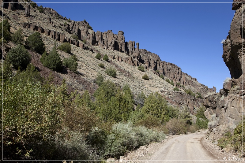 jarbidge_canyon_491.jpg