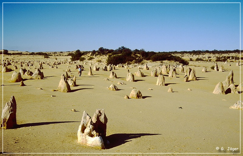 pinnacles_08.jpg