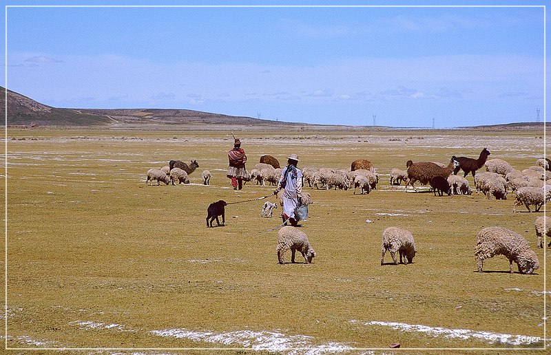 salar_de_uyuni0_02.jpg