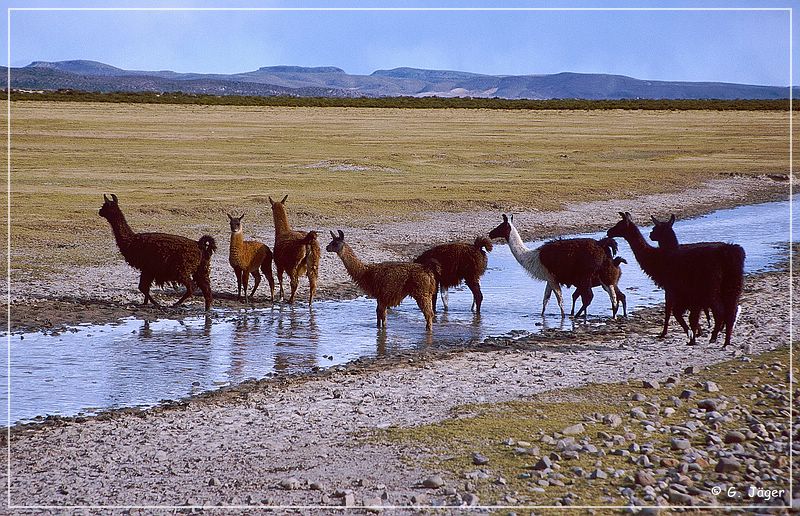 salar_de_uyuni0_07.jpg