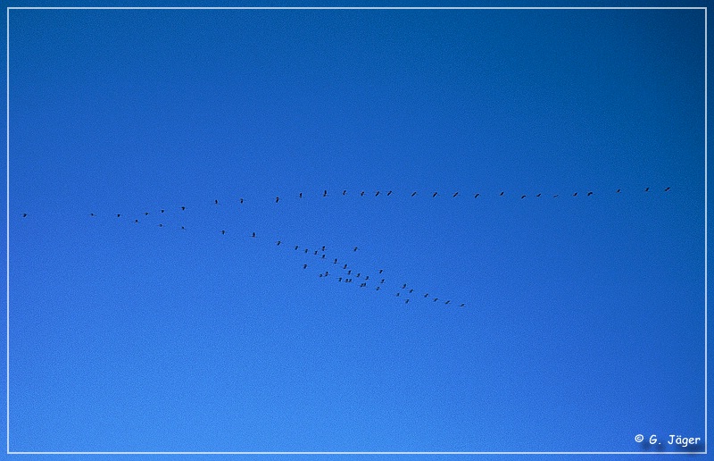 salar_de_uyuni2_33.jpg