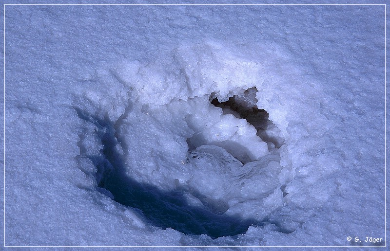 salar_de_uyuni3_12.jpg