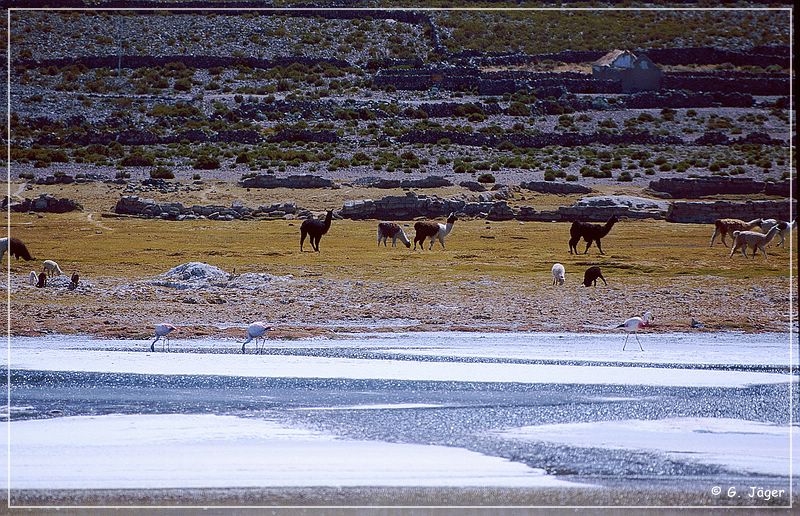 salar_de_uyuni5_11.jpg