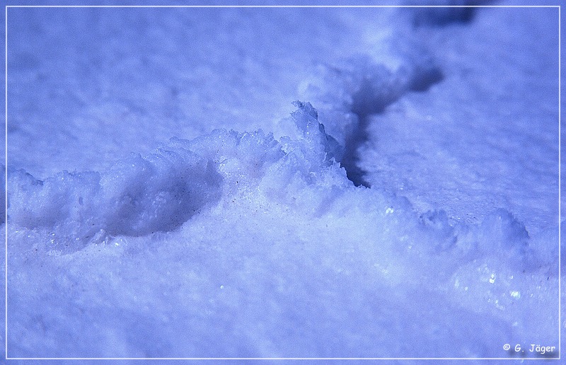salar_de_uyuni6_03.jpg