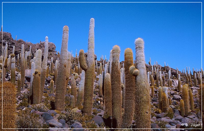 salar_de_uyuni7_02.jpg
