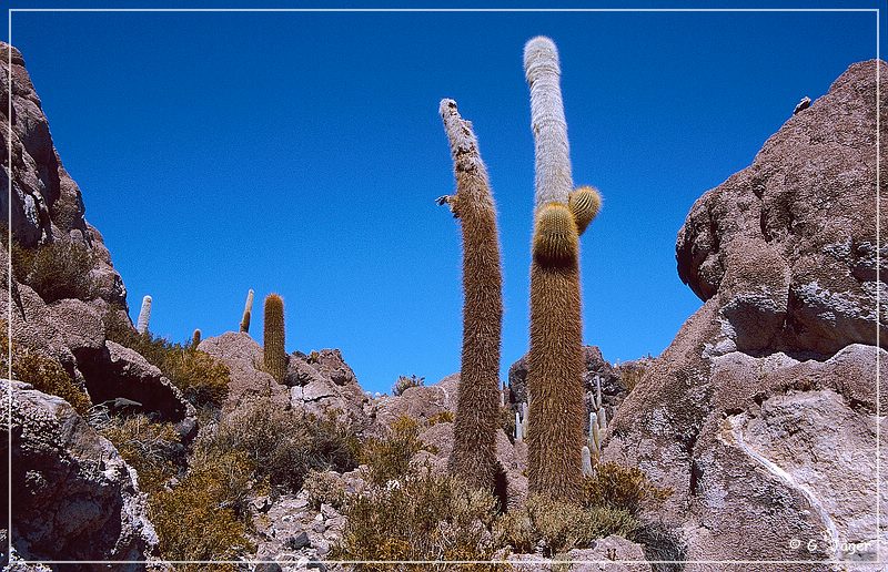 salar_de_uyuni7_03.jpg