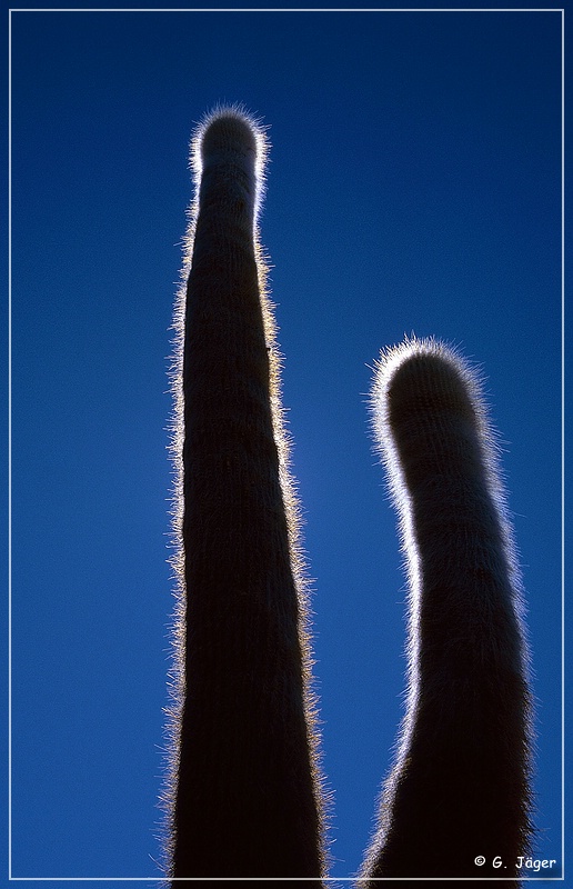 salar_de_uyuni7_07.jpg