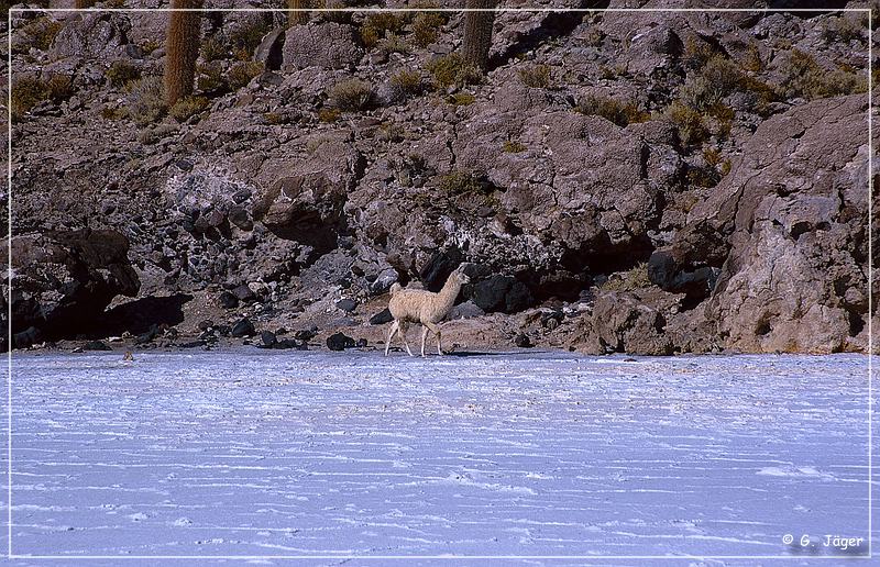 salar_de_uyuni7_47.jpg