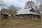 Jarrell Plantation Historic Site