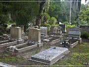 Bonaventure Cemetery