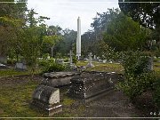 Bonaventure Cemetery