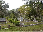 Bonaventure Cemetery