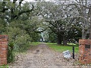 Magnolia Plantation