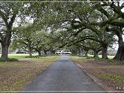 Oaklawn Plantation