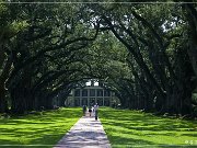 Oak Alley Plantation