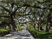 Oak Alley Plantation