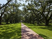 Oak Alley Plantation