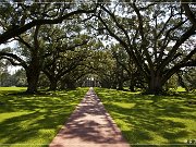 Oak Alley Plantation