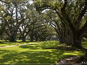 Oak Alley Plantation