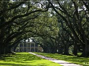 Oak Alley Plantation