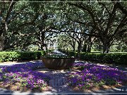 Oak Alley Plantation