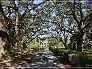 Oak Alley Plantation