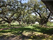 Oak Alley Plantation