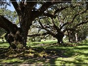 Oak Alley Plantation