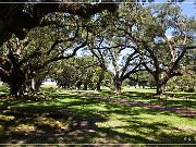 Oak Alley Plantation