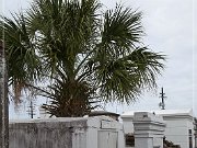 Saint Louis Cemetery Number 1