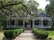 Catalpa Plantation