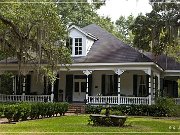 Catalpa Plantation