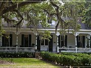 Catalpa Plantation