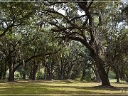 Greenwood Plantation