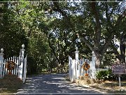 Myrtles Plantation