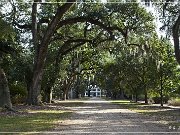 Rosedown Plantation