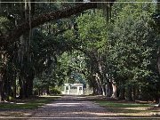 Rosedown Plantation