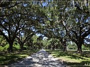 Boone Hall Plantation