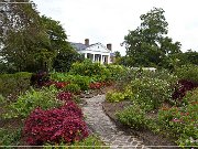 Boone Hall Plantation