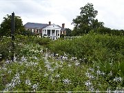 Boone Hall Plantation